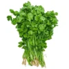 Coriander_1