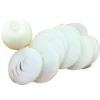 White Onion Sliced (3)
